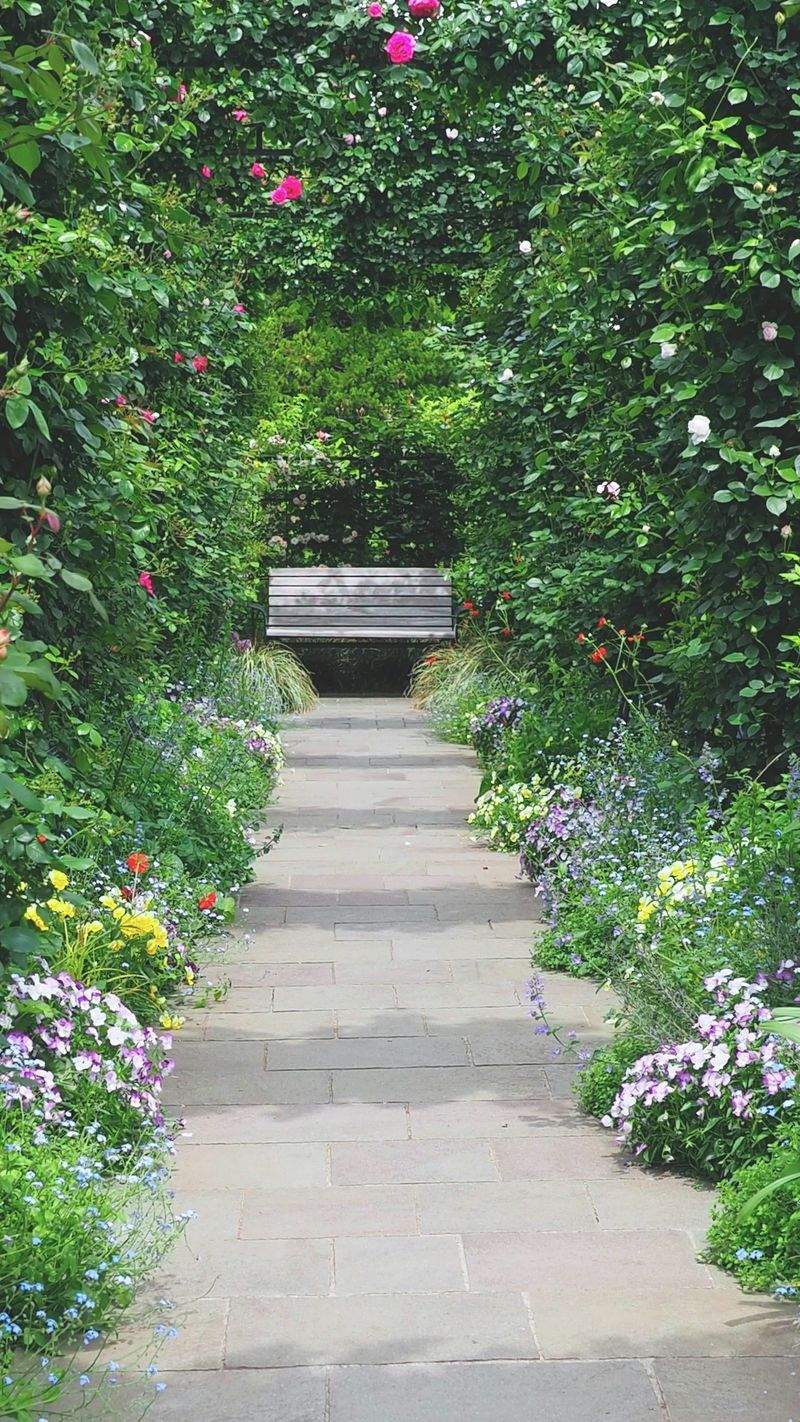Maple Grove Garden Co.