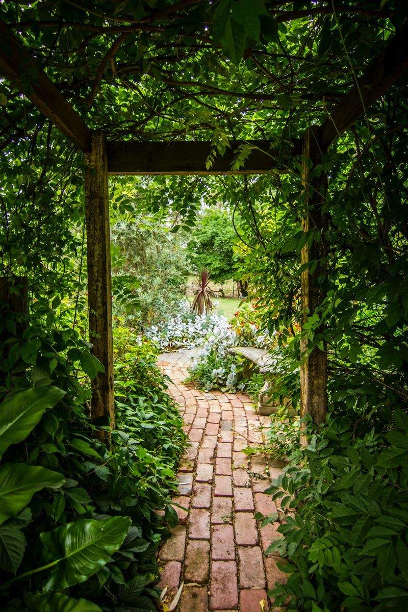 Choosing the Right Plants for Low-Maintenance Curb Appeal